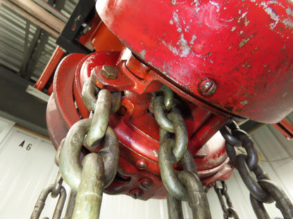 Detroit 2 Ton 4000Lb Manual Chain Fall Hand Hoist 9' Lift