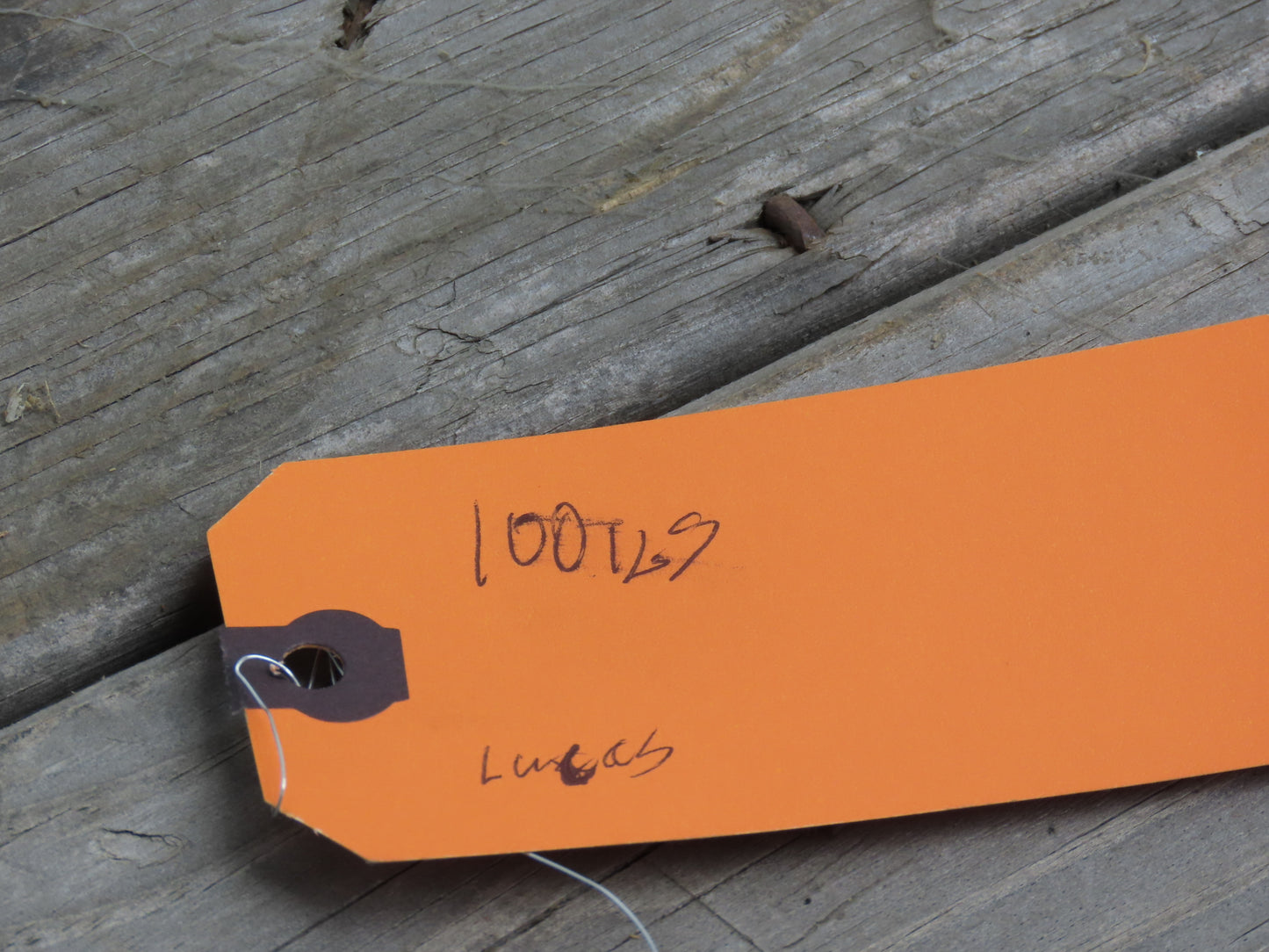 Galvanized Steel Guy-Grip Dead End Splice Wire 5/16" & 1/4" & Hardware Mixed Lot