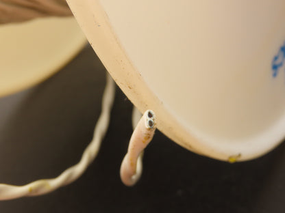 M27500-18SD2U23 18AWG 2 Conductor Wire Tefzel Aircraft Cable Military Spec 500Ft