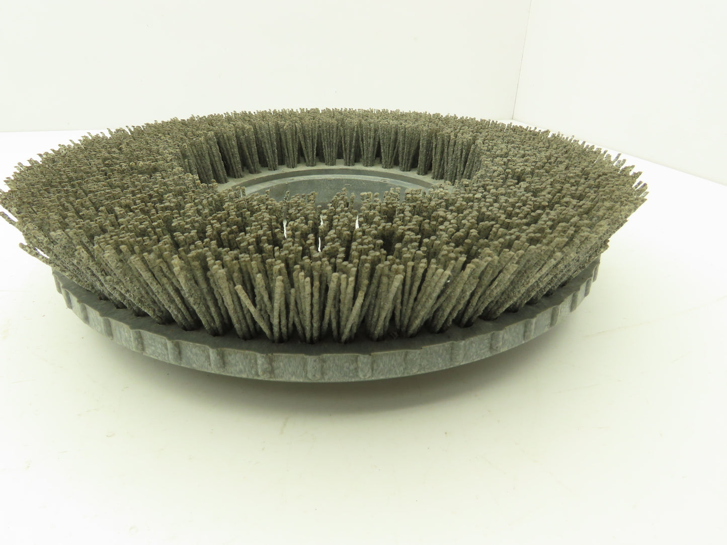 Advance apa 56505801 14" Medium Brush for Rotary Floor Scrubber
