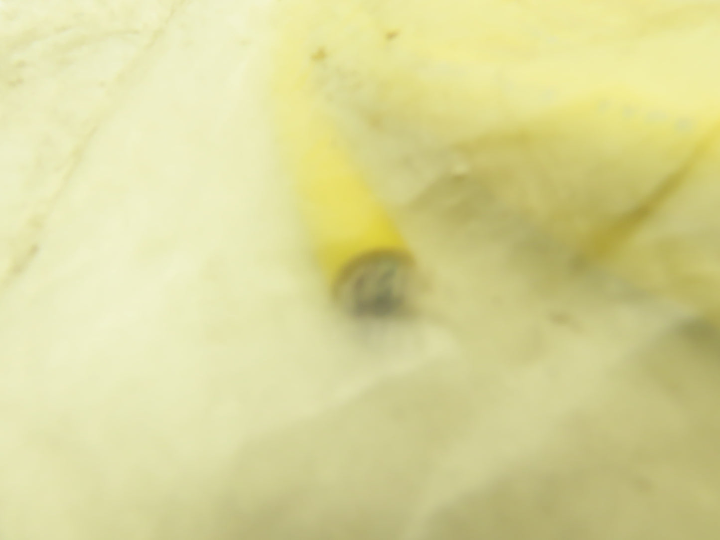 Brad Harrison RDC-093290 Brad Harrison Cable Assembly 12' Cordset 3 Pin