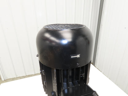 Brinkmann ZS112110-MK+001 Immersion Coolant Pump 5Hp 230/460V 3PH 3520 RPM