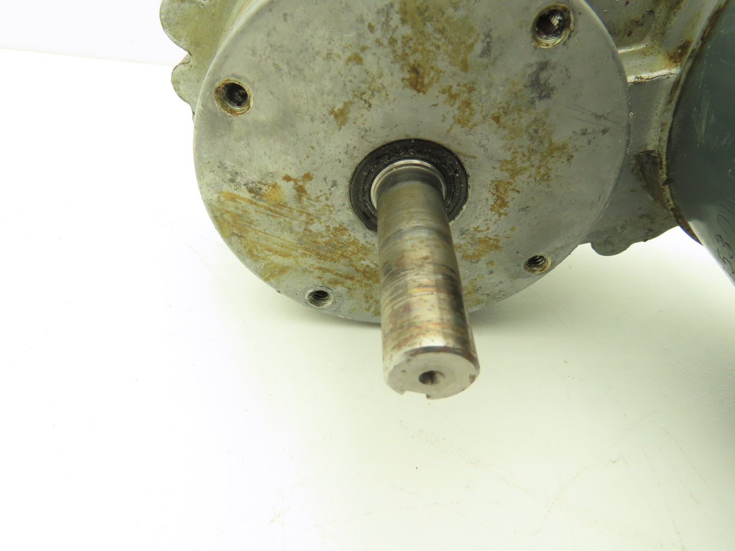 Bison Haas 016-500-9115 Offset Parallel Gearmotor 1/4Hp 230VAC 114:1 Ratio 14rpm