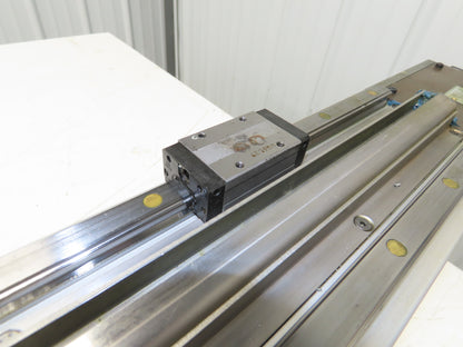 Pneumotec Motorized Linear Center Guide 2-Rail Bearing Blocks SHS15 44" Travel