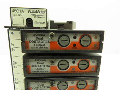 Reliance Electric 45C1A AutoMate Programmable Controller W/8 Dual 24V Outputs