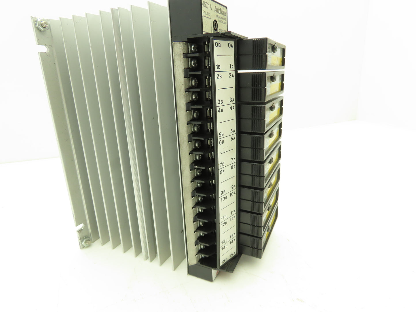 Reliance Electric 45C1A AutoMate Programmable Controller W/8 Dual 24V Inputs