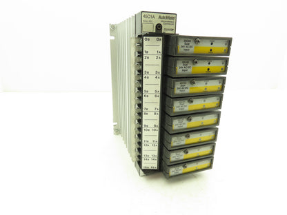 Reliance Electric 45C1A AutoMate Programmable Controller W/8 Dual 24V Inputs