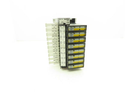 Reliance Electric 45C1A AutoMate Programmable Controller W/8 Dual 24V Inputs