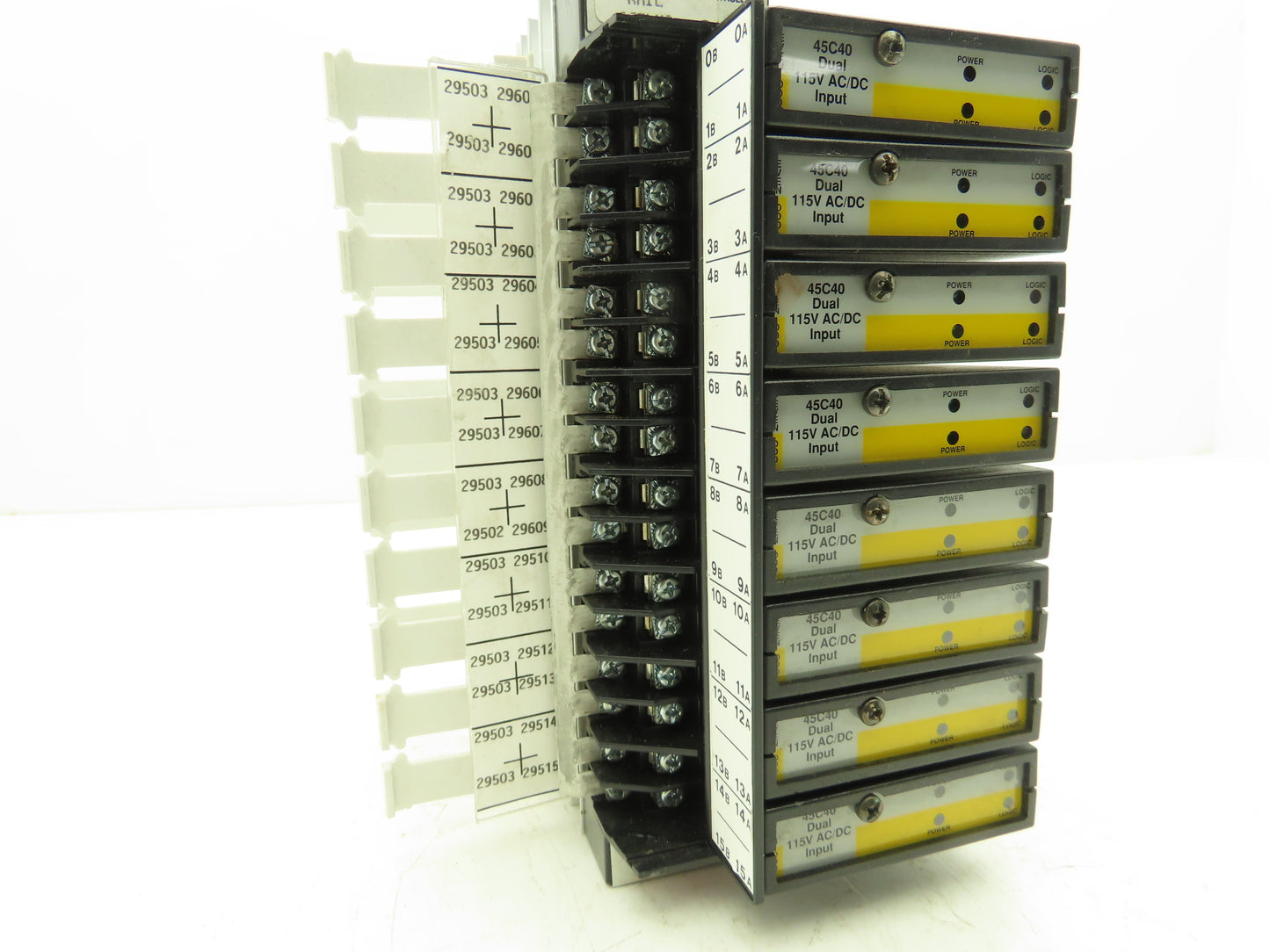 Reliance Electric 45C1A AutoMate Programmable Controller W/8 Dual 24V Inputs