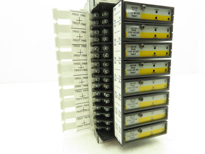 Reliance Electric 45C1A AutoMate Programmable Controller W/8 Dual 24V Inputs