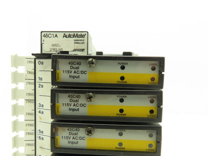 Reliance Electric 45C1A AutoMate Programmable Controller W/8 Dual 24V Inputs