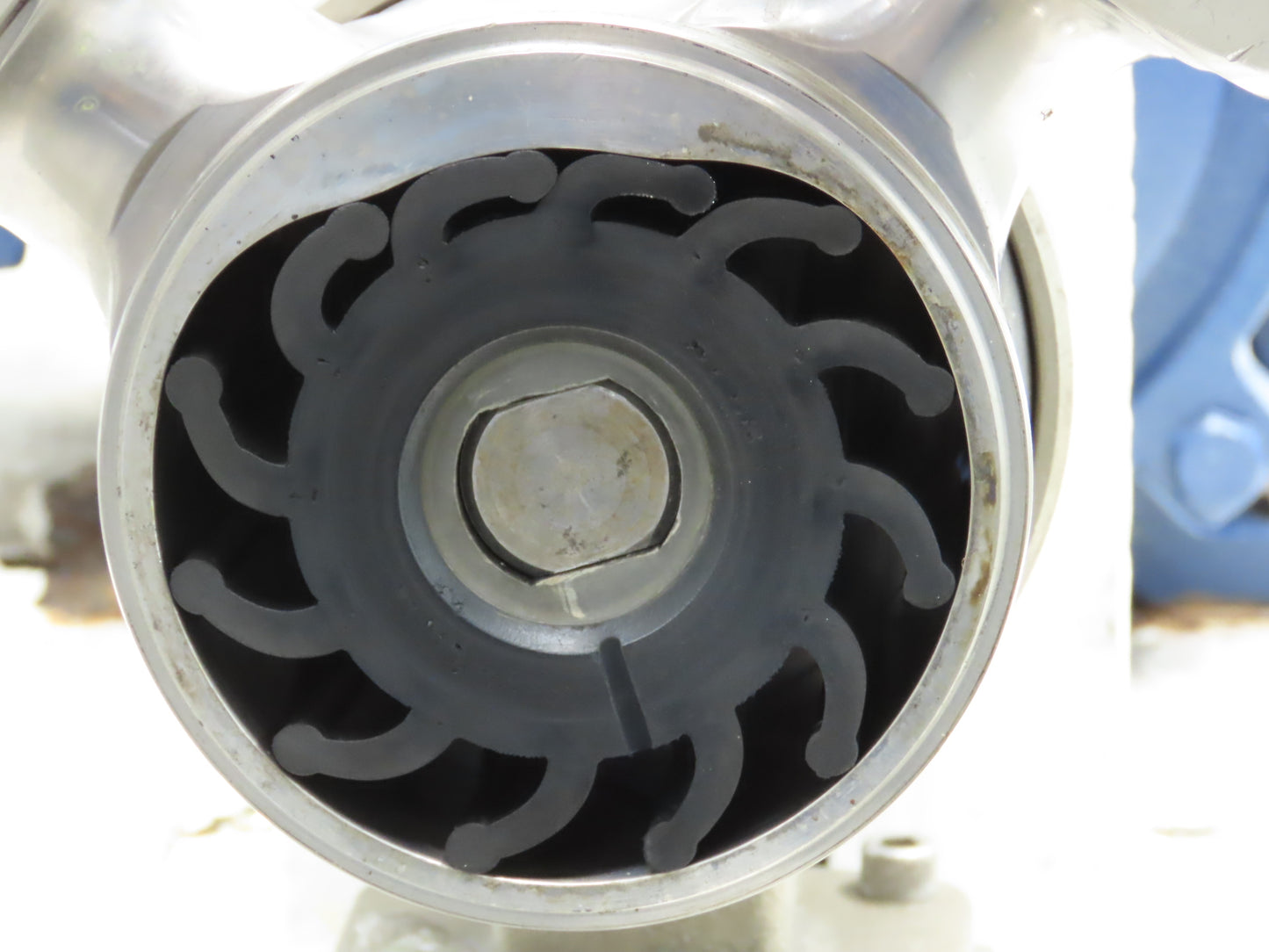 Jabsco 15050-0665 Pureflo Sanitary Flexible Impeller Centrifugal Pump 2"ACME 3Hp