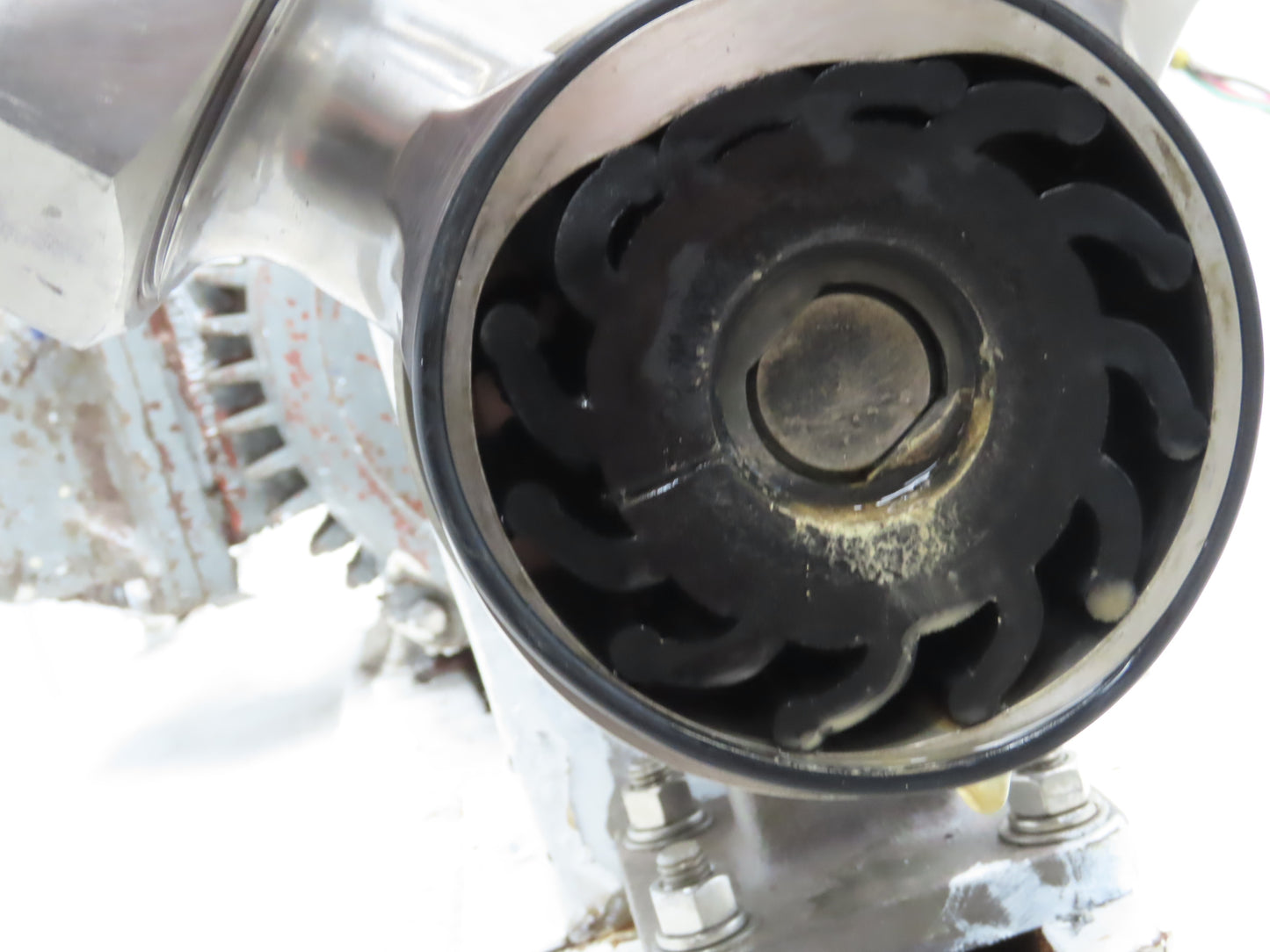 Jabsco 15050-0665 Pureflo Sanitary Flexible Impeller Centrifugal Pump 2"ACME 3Hp