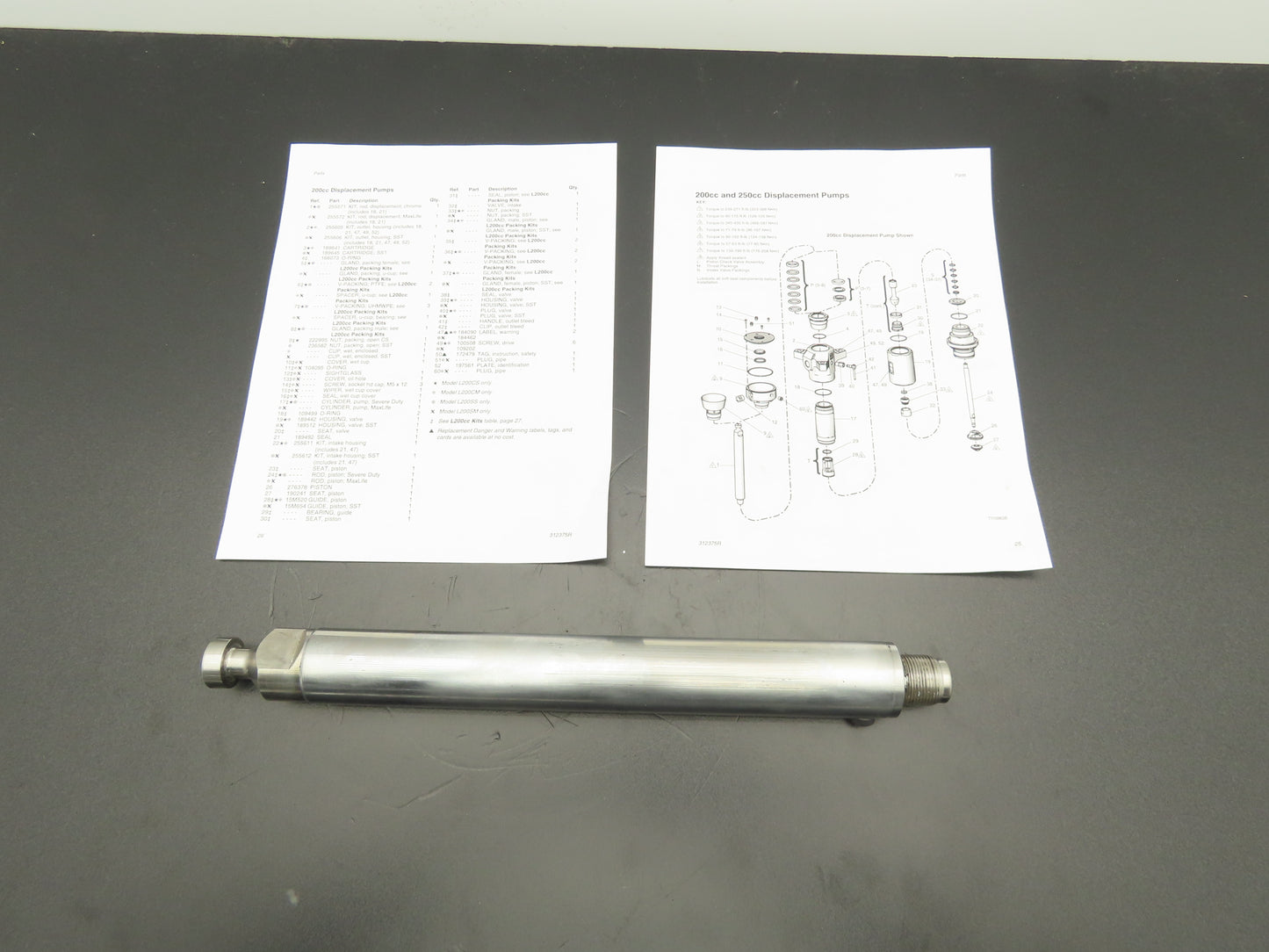 Graco 255571 Check Mate 200cc Displacement Piston Rod L200CS