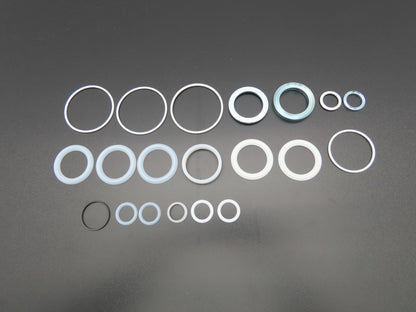 Graco 255509 Seal Kit for L200CS Check-Mate 200cc Severe Duty Displacement Pump