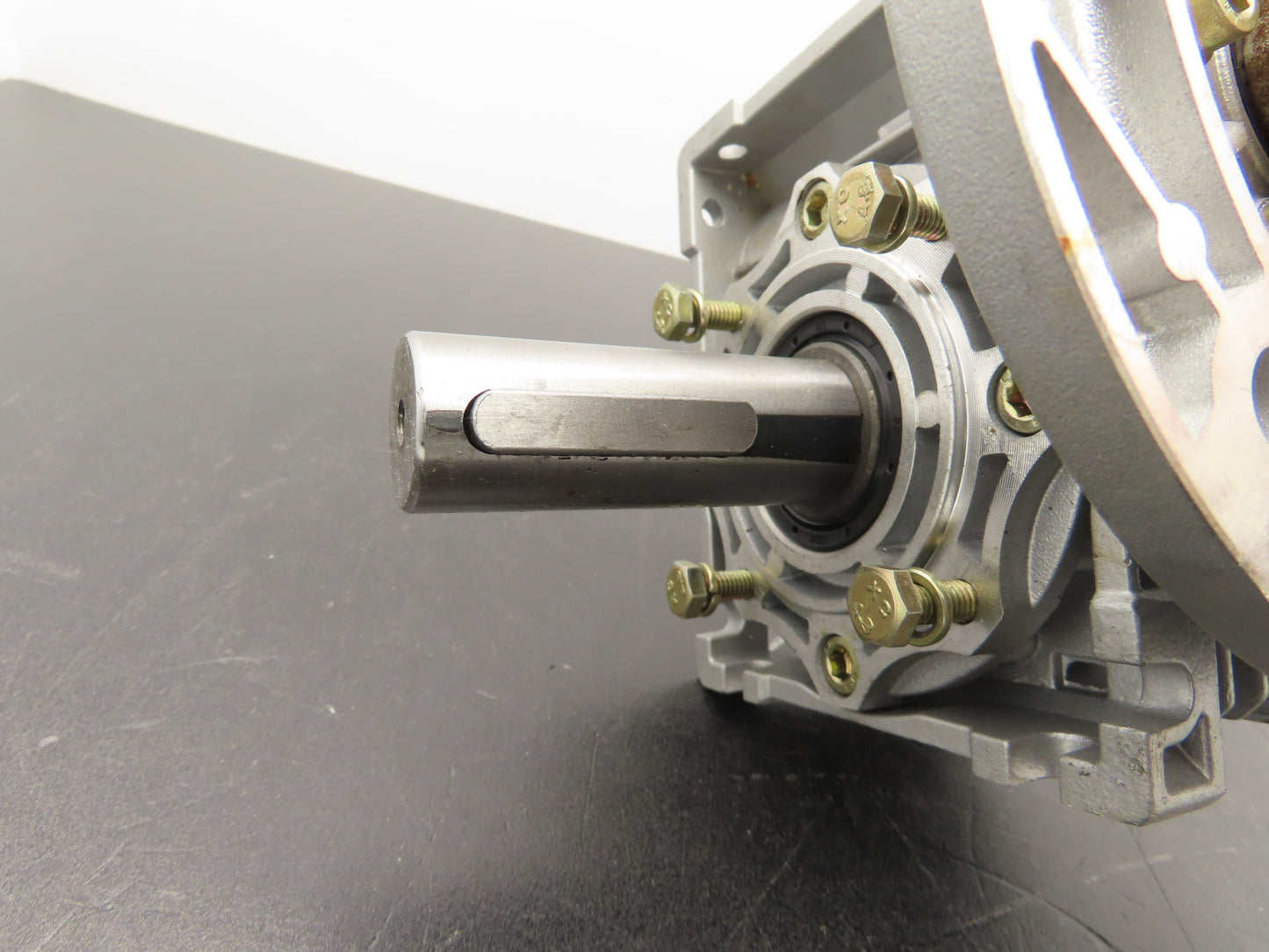 Jiangyin Guoliang NMRV040 Worm Gearbox 20:1 Reducer 75 RPM Hollow Shaft IEC 71