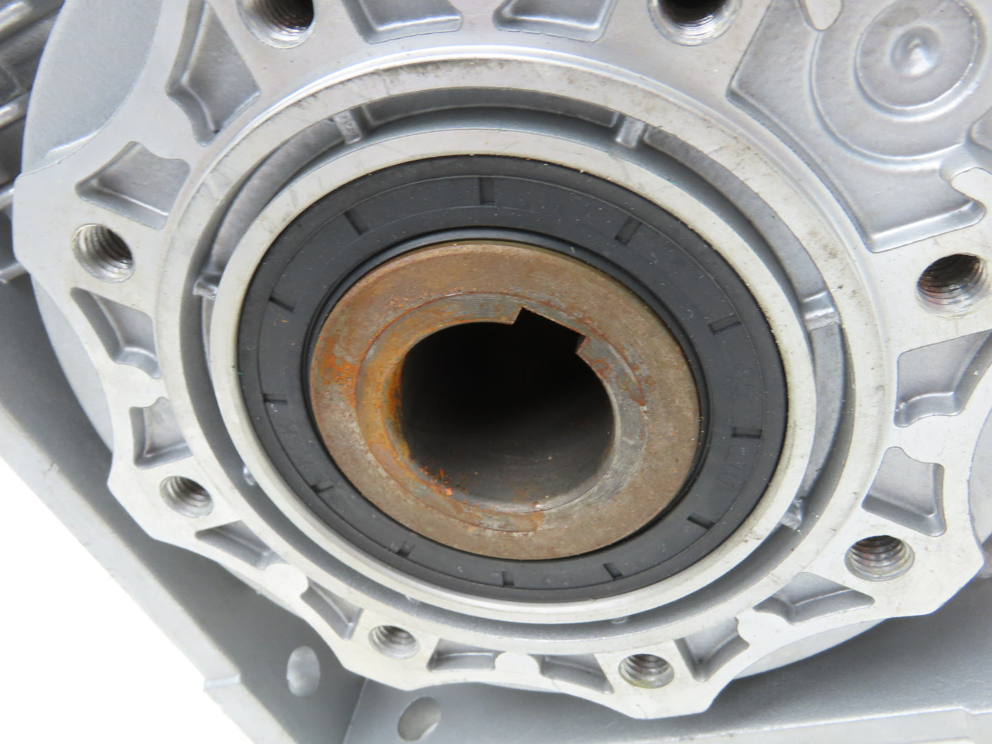 Jiangyin Guoliang NMRV 090 Worm Gearbox 25:1 Reducer 60 RPM Hollow Shaft