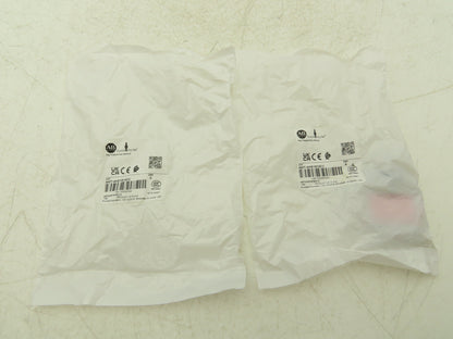 Allen Bradley 440T-AKEYE10CC Guardmaster Trapped Key Interlock Key Cc  Lot of 2