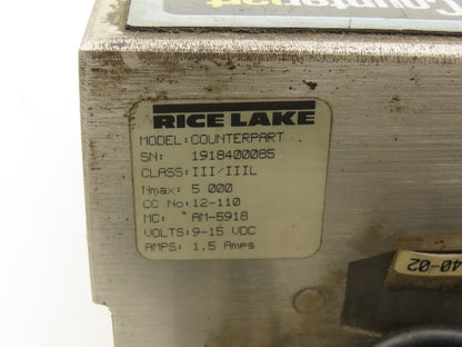 Rice Lake BM1218-100 BenchMark 12x18" Weigh Scale 100Lb Counterpart Display