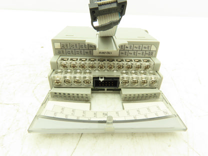 Allen Bradley 1762-OW16 MicroLogix 1200 16 Pt. VAC/VDC Relay Output Ser B Rev A