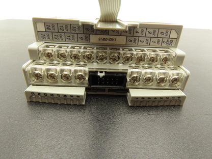 Allen Bradley 1762-OW16 MicroLogix 1200 16 Pt. VAC/VDC Relay Output Ser B Rev A