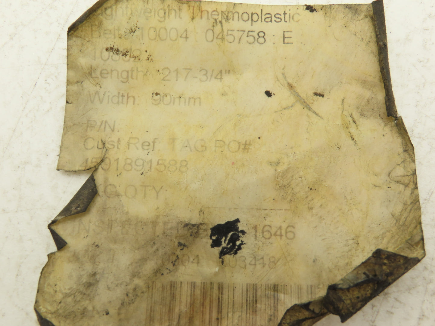 Thermoplastic Conveyor Belt 90mm x 5530mm Endless White 217.75"L