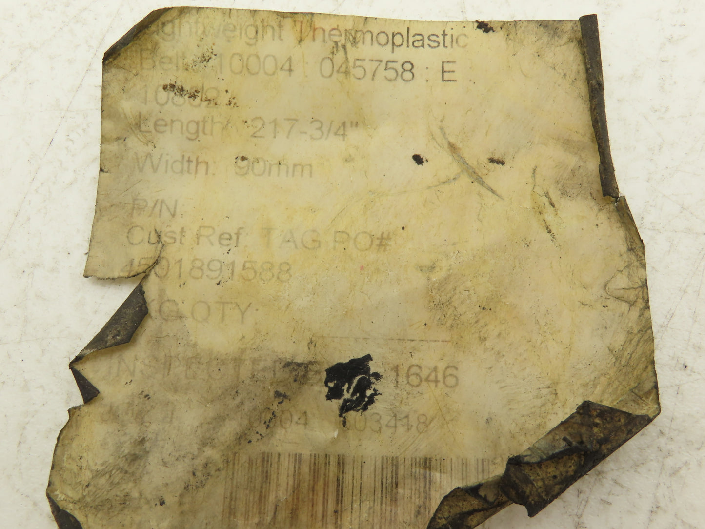 Thermoplastic Conveyor Belt 90mm x 5530mm Endless White 217.75"L