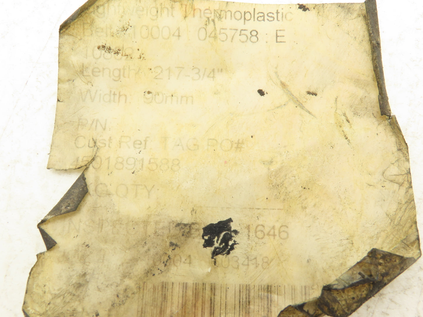 Thermoplastic Conveyor Belt 90mm x 5530mm Endless White 217.75"L