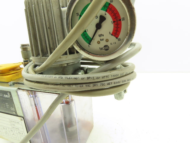 SKF MFE2-KW3FVW001+MWZ Lubrication Gear Pump Lubricator 3L 460VAC .24 l/min