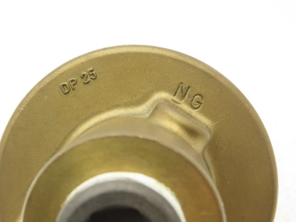 Maier DP 25 R 51-117 Rotary Joint for Water and Thermal Oil 145PSI Cooling/Hot