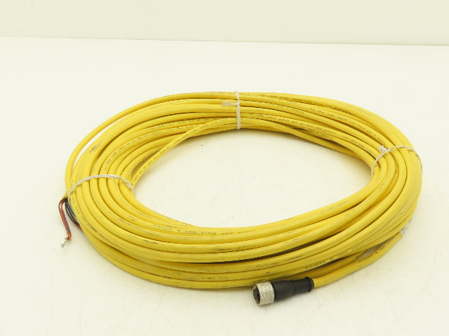 Banner QDE-8100D 8-Pin M12 Female Cordset 8x 22AWG 30.5 Meter Cable 100Ft