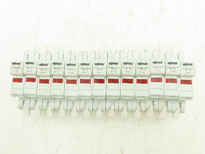 WAGO 811-411 Fuse Holder for CC Fuses 600VAC Lot of 13