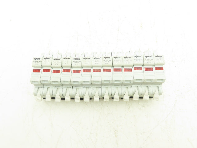 WAGO 811-411 Fuse Holder for CC Fuses 600VAC Lot of 13