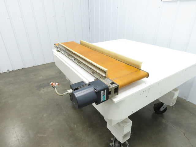 QC Industries 10"W x 47.5"L Low Profile Flat Belt Conveyor 250mm 115V 12FPM