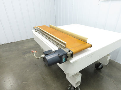 QC Industries 10"W x 47.5"L Low Profile Flat Belt Conveyor 250mm 115V 12FPM