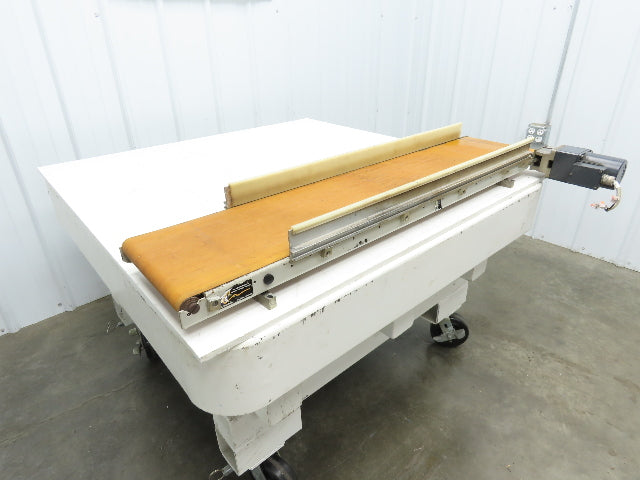 QC Industries 10"W x 47.5"L Low Profile Flat Belt Conveyor 250mm 115V 12FPM