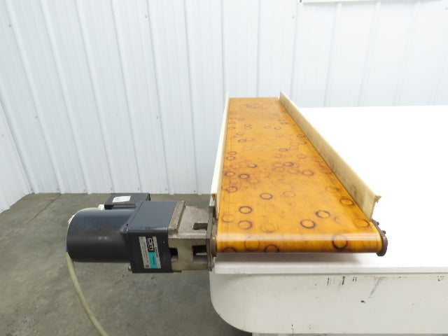QC Industries 10"W x 47.5"L Low Profile Flat Belt Conveyor 250mm 115V 12FPM