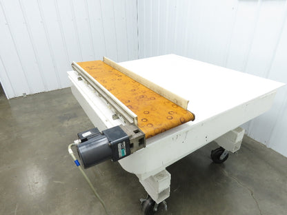 QC Industries 10"W x 47.5"L Low Profile Flat Belt Conveyor 250mm 115V 12FPM