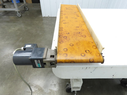 QC Industries 10"W x 47.5"L Low Profile Flat Belt Conveyor 250mm 115V 12FPM
