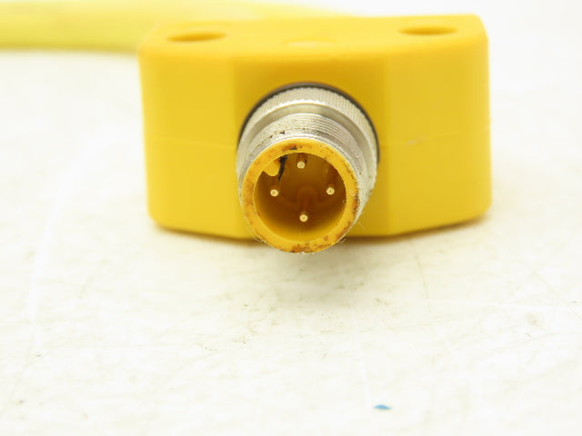 Turck VB2-FSM 4.4/2 RKC 4T-0.3/0.3/S90/SV Two Branch Splitter Cord Set M12