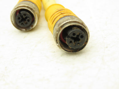 Turck VB2-FSM 4.4/2 RKC 4T-0.3/0.3/S90/SV Two Branch Splitter Cord Set M12