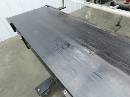 RL Craig RLC250-12-4 Low Profile Belt Conveyor 12"W x 48"L 115V Variable Speed