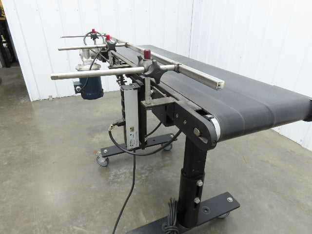 RL Craig RLC250-12-4 Low Profile Belt Conveyor 12"W x 48"L 115V Variable Speed