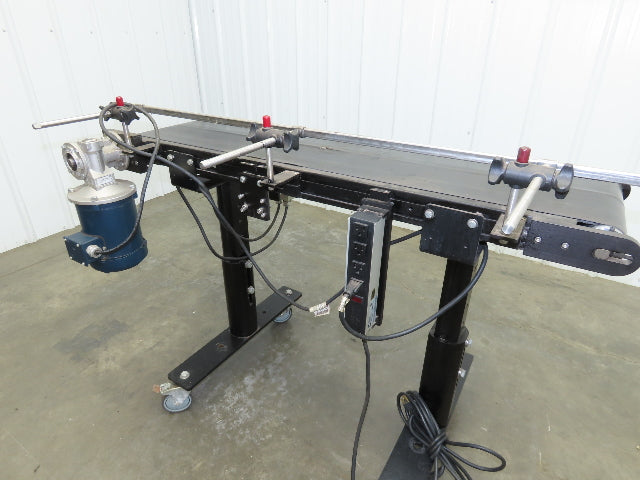 RL Craig RLC250-12-4 Low Profile Belt Conveyor 12"W x 48"L 115V Variable Speed