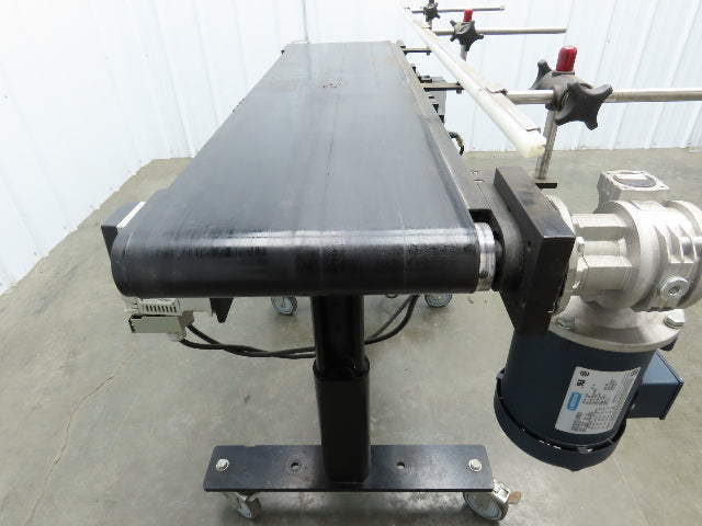 RL Craig RLC250-12-4 Low Profile Belt Conveyor 12"W x 48"L 115V Variable Speed