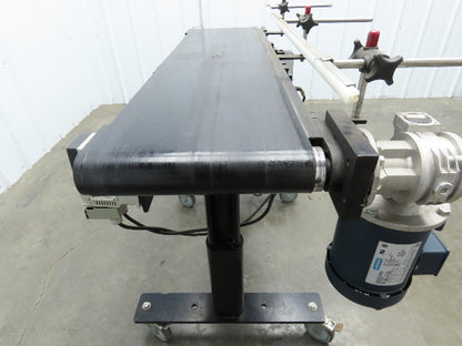 RL Craig RLC250-12-4 Low Profile Belt Conveyor 12"W x 48"L 115V Variable Speed