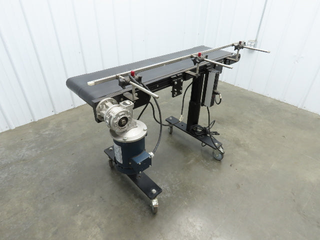 RL Craig RLC250-12-4 Low Profile Belt Conveyor 12"W x 48"L 115V Variable Speed