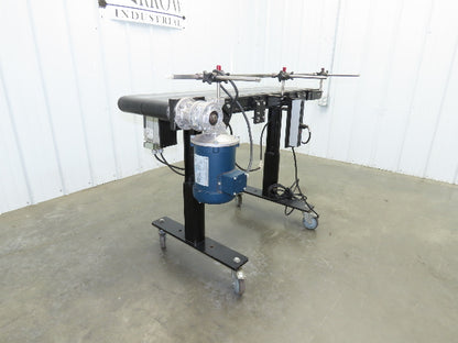 RL Craig RLC250-12-4 Low Profile Belt Conveyor 12"W x 48"L 115V Variable Speed