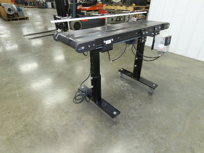 RL Craig RLC250-12-4 Low Profile Belt Conveyor 12"W x 48"L 115V Variable Speed