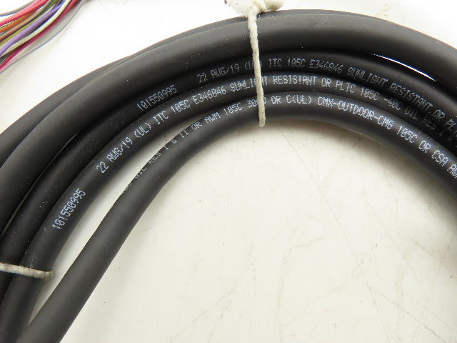 Turck MS3116M-14-19S-0995-4 Cordset Mil-Spec 3.25mm Fem Straight 20 Wire 13'